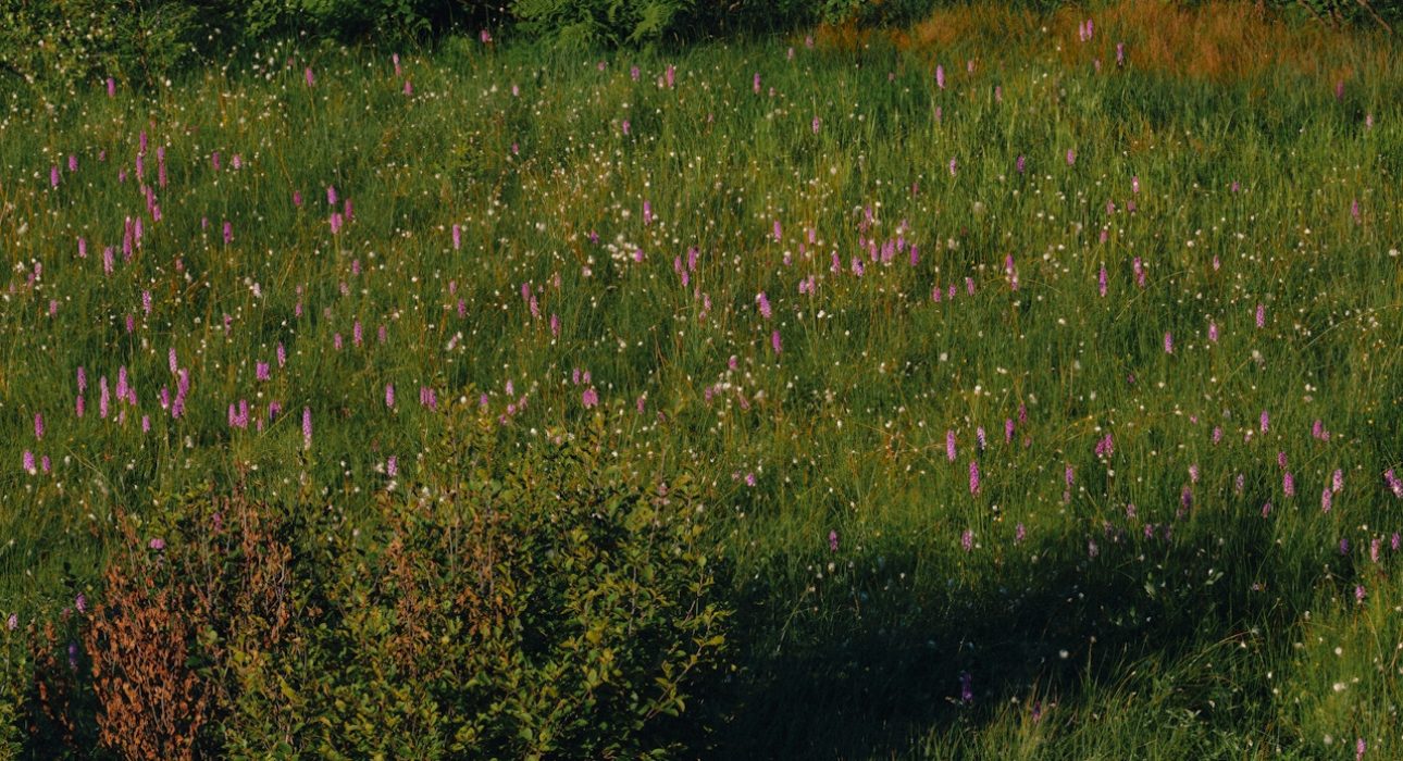 DTS_HI-TREK_Fanette_Guilloud_Photos_ID11185